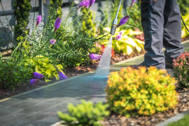 Best Gutter Cleaning  in Blue Mound, TX